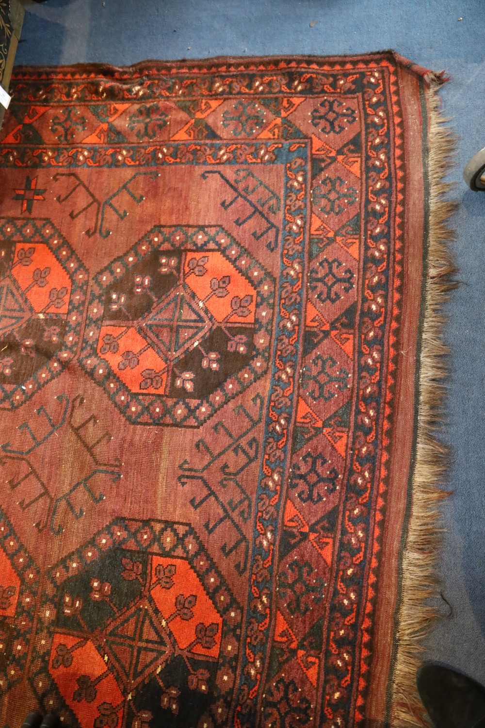 An Afghan aubergine and red ground carpet, with field of octagons and geometric motifs, 350 x 274cm